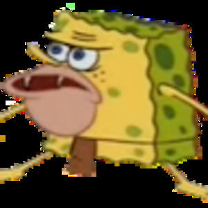 Meet your Posher, Mackenzie